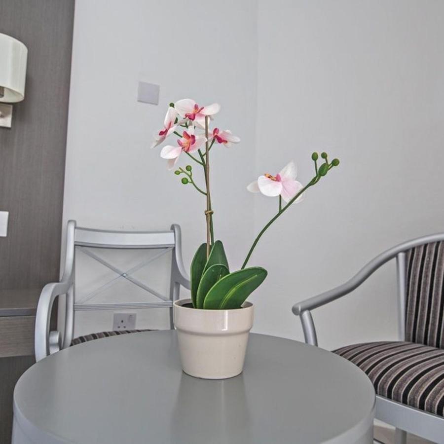 Napa Tsokkos Hotel Айя-Напа Экстерьер фото